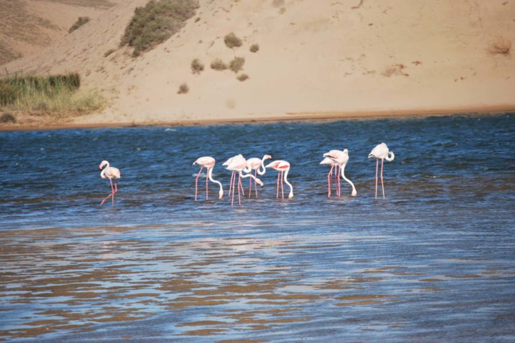 National Park Tour Morocco Iktichaf Travel